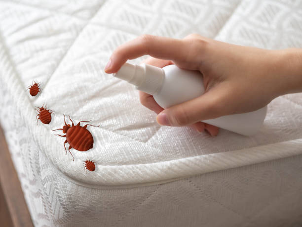 Best Pest Inspection Near Me  in Eustace, TX