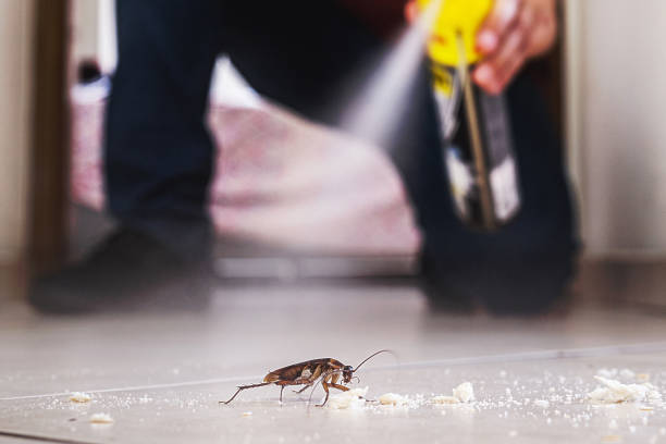 Best Pest Control Near Me  in Eustace, TX