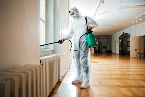 Best Wasp Removal Services  in Eustace, TX