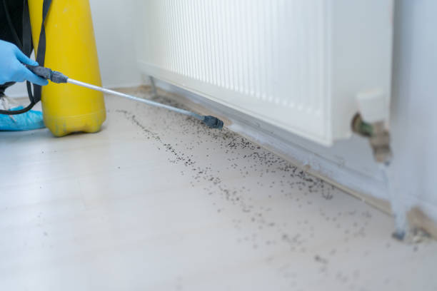 Best Best Pest Control Near Me  in Eustace, TX