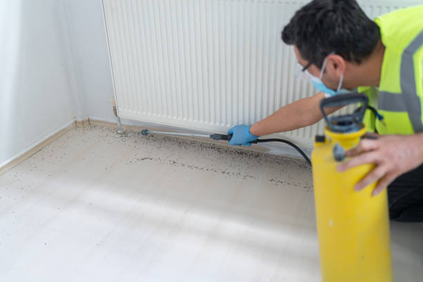 Best Best Pest Control Companies  in Eustace, TX