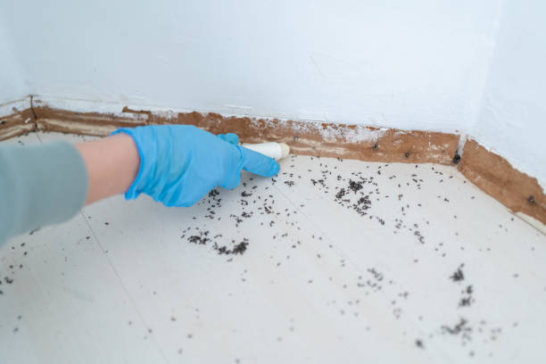 Best Affordable Pest Control Services  in Eustace, TX